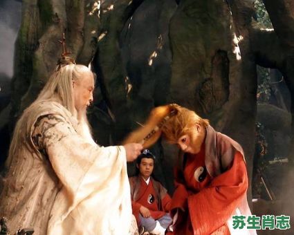 看天庭是什么生肖?看天庭打一准确生肖 看天庭是什么生肖?看天庭打一准确生肖