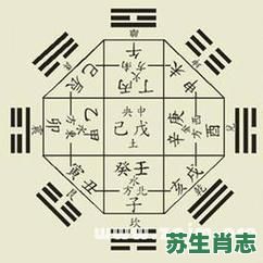 九宫八卦是什么生肖？九宫正确答案一肖