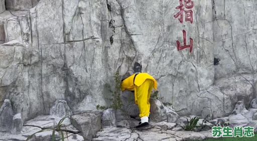 五指山是什么生肖？五指山下打一最佳生肖