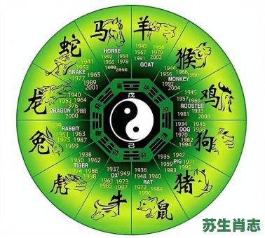 靶是什么生肖？靶子暗示什么生肖