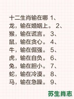 述是什么生肖?述字打一准确生肖 述是什么生肖?述字打一准确生肖