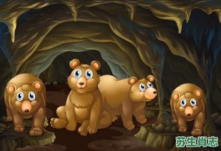 住山洞是什么生肖？住山洞正确答案一肖