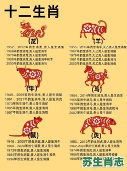 步是什么生肖？十二生肖谁是步字