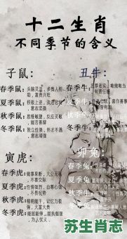 春秋肖是什么生肖？春秋生肖的属相