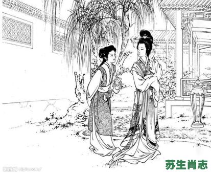 西厢是什么生肖？西厢指的是女人什么