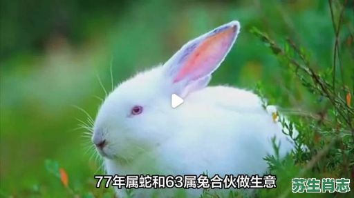 地上爬的是什么生肖？地上爬最准确的生肖