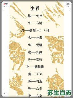 神的代表是什么生肖？神字最佳准确生肖