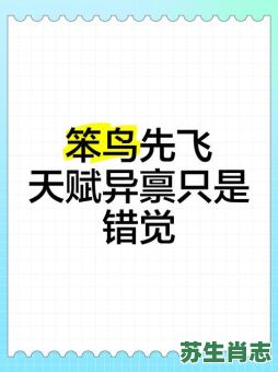 笨鸟是什么生肖？笨鸟先飞最准确生肖