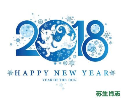 1991是什么生肖？九一属什么的生肖