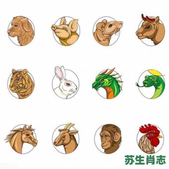 深藏不露是什么生肖？低调实力惊人的生肖