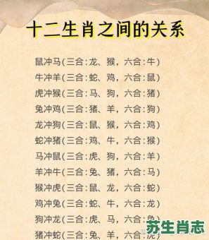 横冲直撞是什么生肖？仙肖是什么生肖