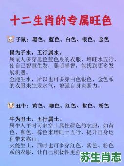 鼠辈是什么生肖？鼠目寸光准确答案生肖