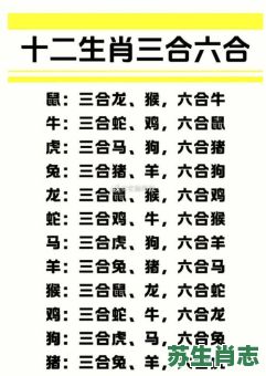 天地之间是什么生肖？天地之间打一动物