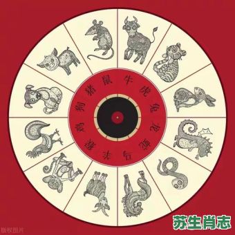 七十二变是什么生肖？七十二变打一数字