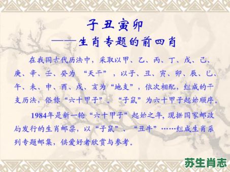 子丑寅卯是什么生肖？子丑寅卯打一正确动物