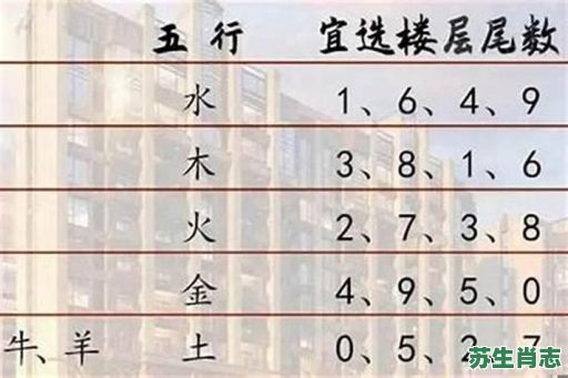 楼是什么生肖？楼代表什么数字