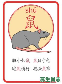 材是什么生肖？才打一生肖是什么动物