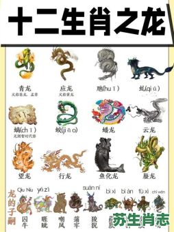 伯是什么生肖？龙代表几个生肖