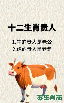 41岁是什么生肖？41最正确的生肖