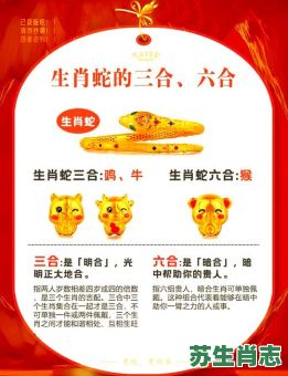 白蛇传是什么生肖？白蛇传最佳答案一肖