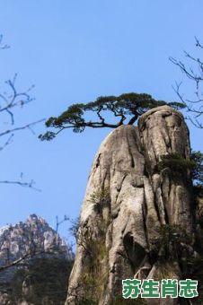 仙人指路是什么生肖?什么叫仙人指路 仙人指路是什么生肖?什么叫仙人指路