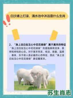 水上的动物是什么生肖？欲钱买水上准确一肖