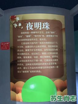 夜明珠是什么生肖？夜明珠代表什么数字