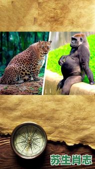 十月怀胎是什么生肖？怀孕10个月准确生肖