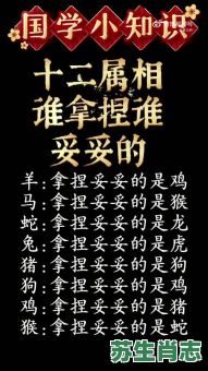 夺是什么生肖？死代表哪个生肖