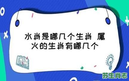 风云肖是什么生肖？风云之战最佳答案一肖