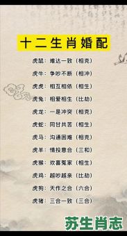 虎的克星是什么生肖？谁最害怕属虎的生肖