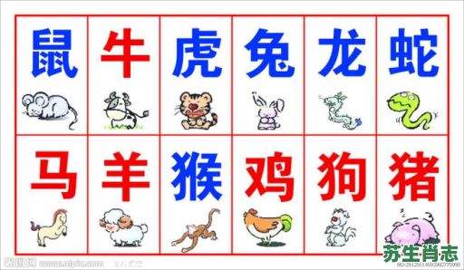 红蓝肖是什么生肖？红蓝绿肖正确答案