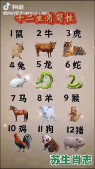 三寸之舌是什么生肖？三寸是什么动物