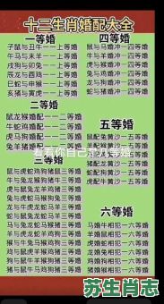 2002是什么生肖年？02属马的婚配大忌
