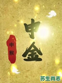 申金是什么生肖？申金长生准确答案