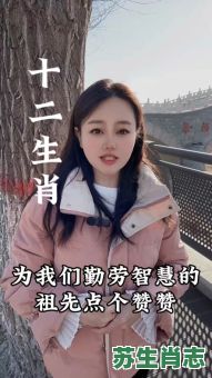 反反复复是什么生肖？反反复复指什么数字