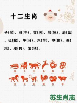 七上八落是什么生肖？7上8落最准确生肖