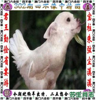 低是什么生肖？低三下四打最佳一肖