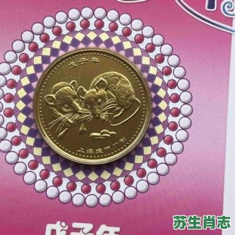 2008是什么生肖年？08年出生的属什么