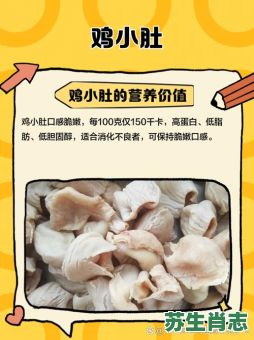 鸡肠小肚是什么生肖？小肚鸡肠最正确答案