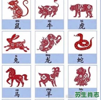 一语双关是什么生肖？十二生肖谁是双关