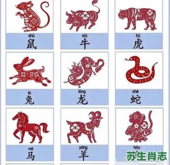 手忙脚乱是什么生肖？毛手毛脚打一准确的生肖