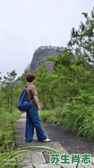 做牛做马是什么生肖？做牛做马正确答案