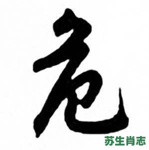 危字是什么生肖?危最佳生肖是什么 危字是什么生肖?危最佳生肖是什么