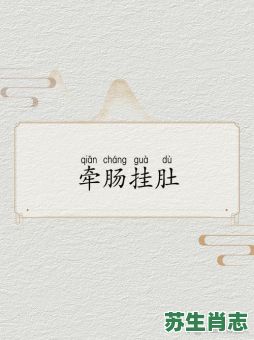 牵肠挂肚是什么生肖？牵肠挂肚意思