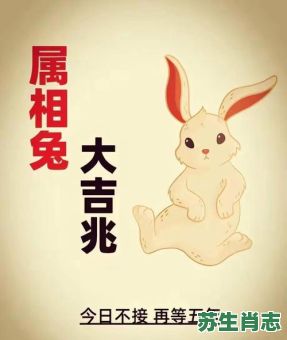兔年后面是什么生肖？什么生肖看不起属兔人