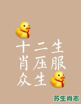 服是什么生肖？服代表什么生肖