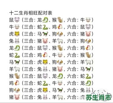 43号是什么生肖?四十号是什么生肖 43号是什么生肖?四十号是什么生肖