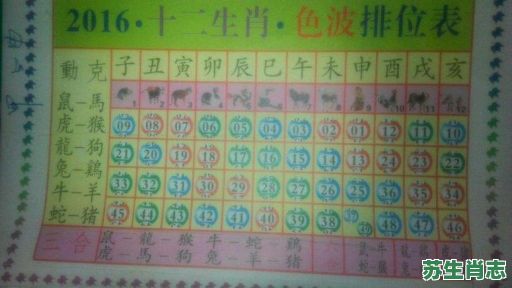 红绿肖是什么生肖?红蓝绿肖分别是哪些生肖 红绿肖是什么生肖?红蓝绿肖分别是哪些生肖