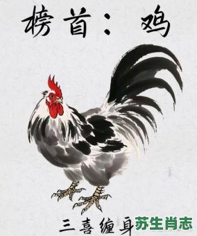 鸡叫三声是什么生肖？三更半夜鸡在叫是什么生肖